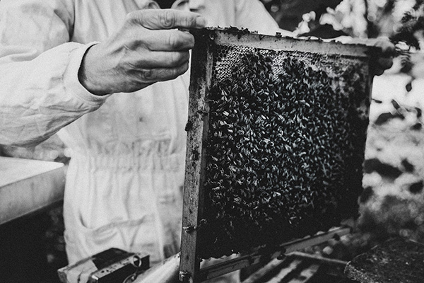 produktfotografie im studio modern industriefotografie motorblock
